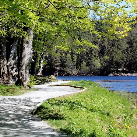 New And Urban Apartment, Centrally Located Close To Nature