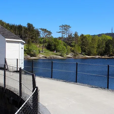 New And Urban Apartment, Centrally Located Close To Nature